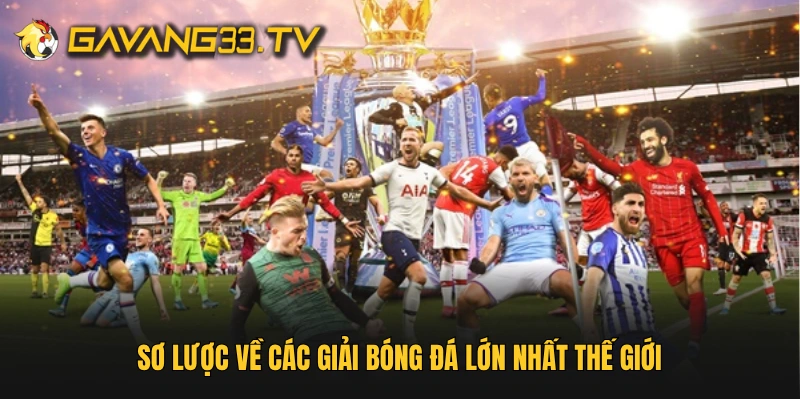 Sơ lược về các giải bóng đá lớn nhất thế giới