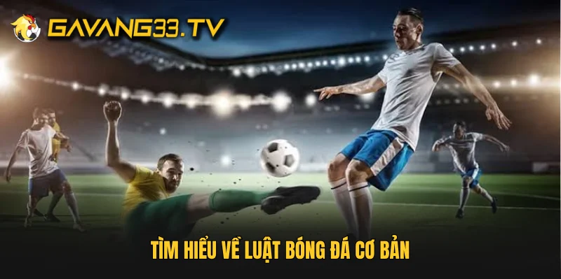 Tìm hiểu về luật bóng đá cơ bản
