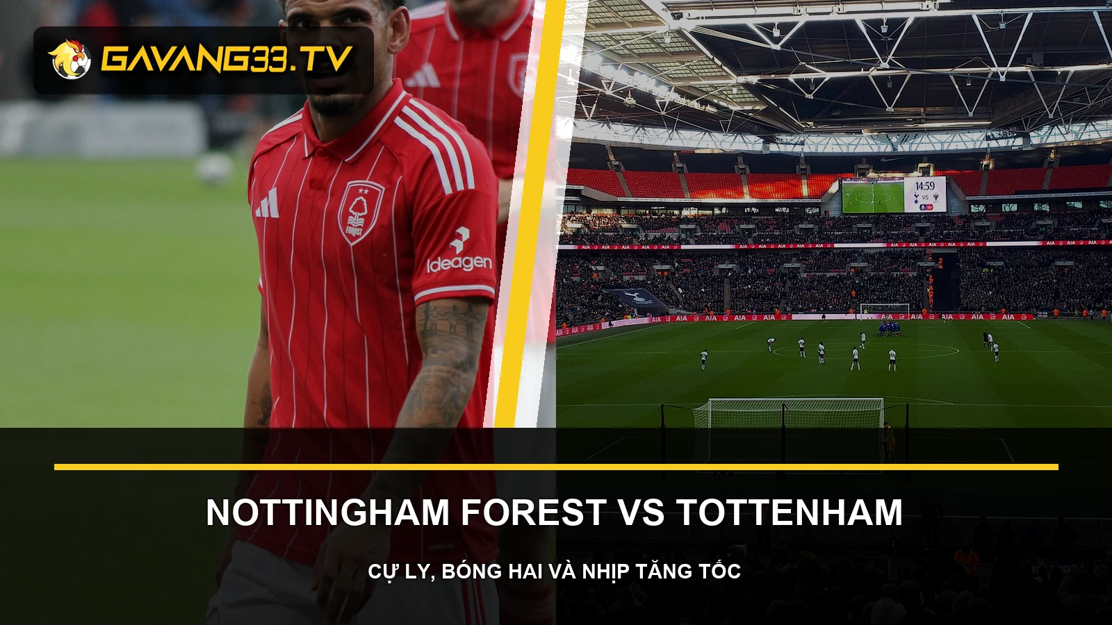 Ảnh tư liệu Nottingham Forest và Tottenham Hotspur trước trận vòng 3 Premier League